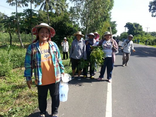 ชาวตำบลหนองโดนได้ร่วมมือกันทำความสะอาดถนนในเขตพื้นที่ตำบลหนองโดน นำโดย นายก อบต.หนองโดน กำนัน ผู้ใหญ่บ้านทุกหมู่บ้าน และสมาชิกสภา อบต.