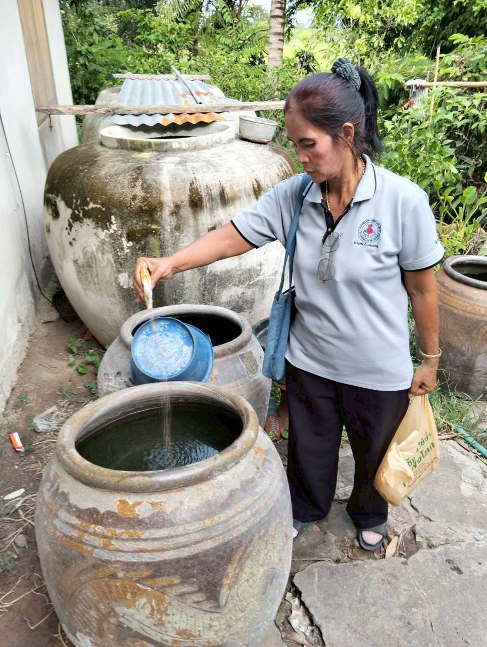 โครงการป้องกันและควบคุมโรคไข้เลือดออก ประจำปี 2568