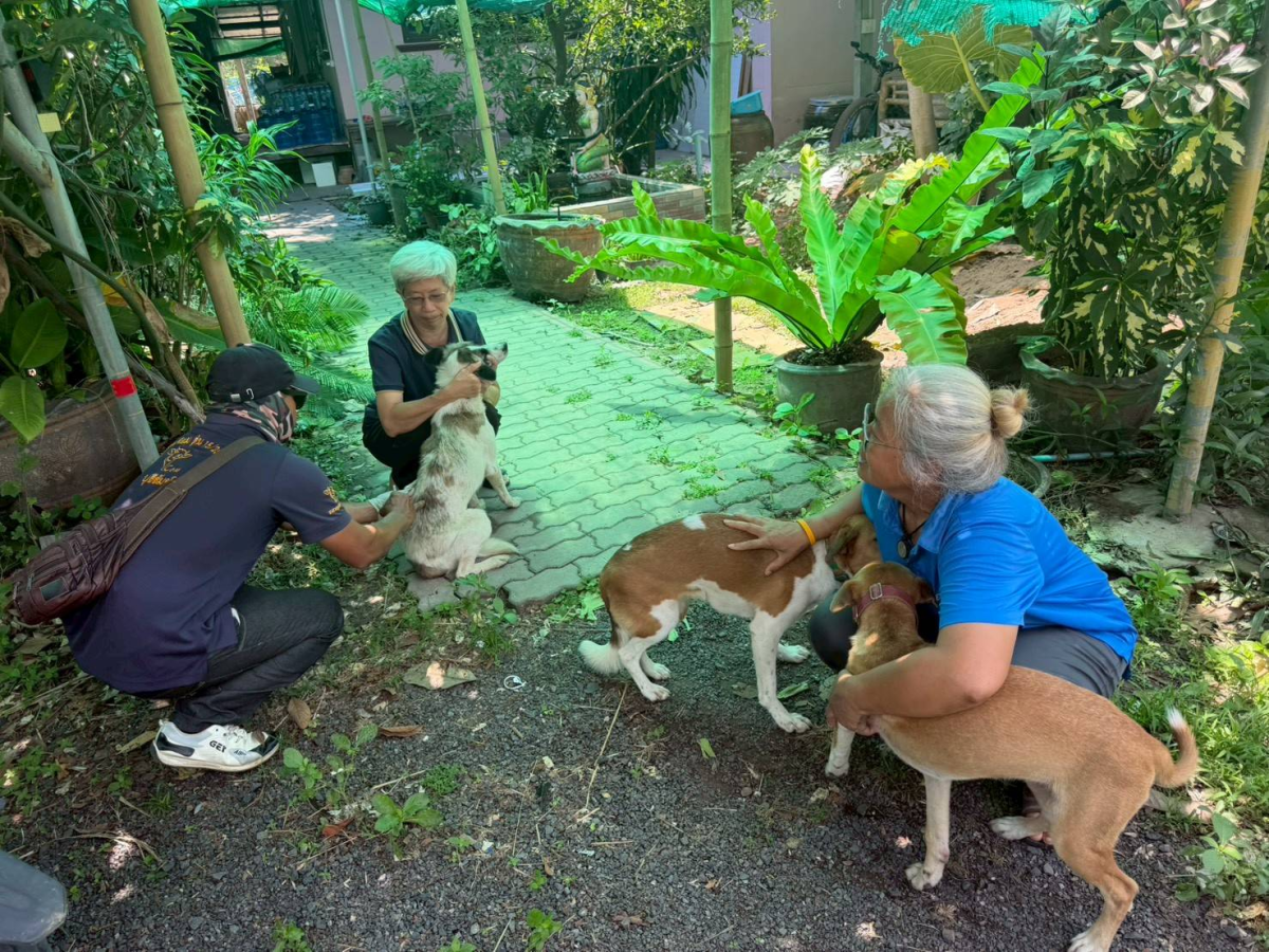 องค์การบริหารส่วนตำบลหนองโดน ได้จัดโครงการ สัตว์ปลอดโรค คนปลอดภัย จากโรคพิษสุนัขบ้า ประจำปี 2569 วันที่ 12-15 พฤษภาคม 2569